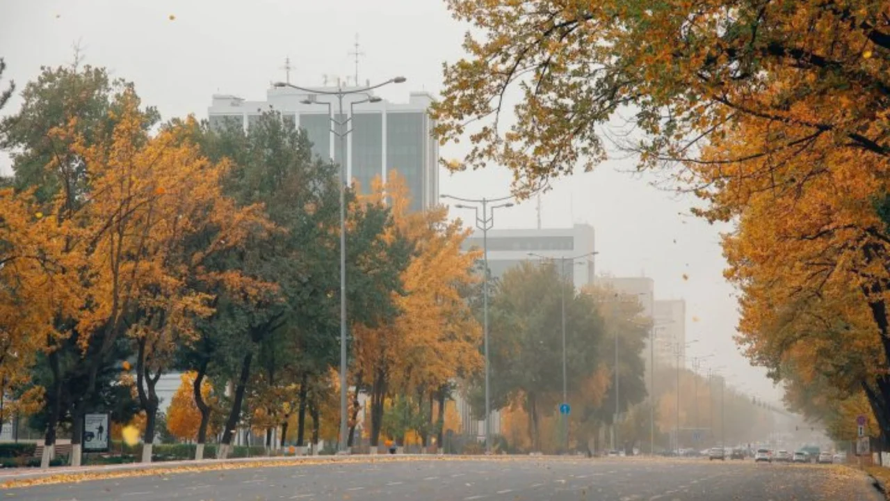 It won't rain tomorrow, but there may be fog.