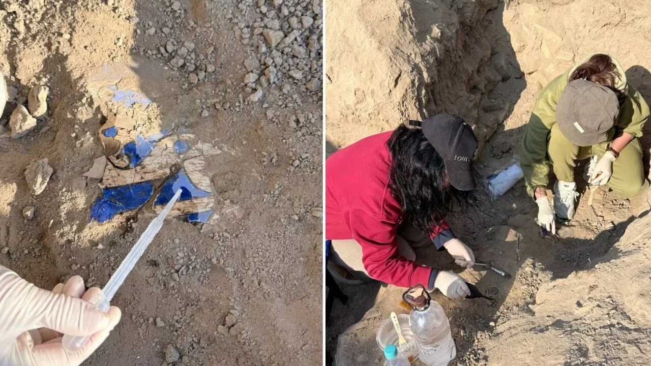 В Ташкентской области обнаружены уникальные настенные росписи, датируемые 10-11 веками