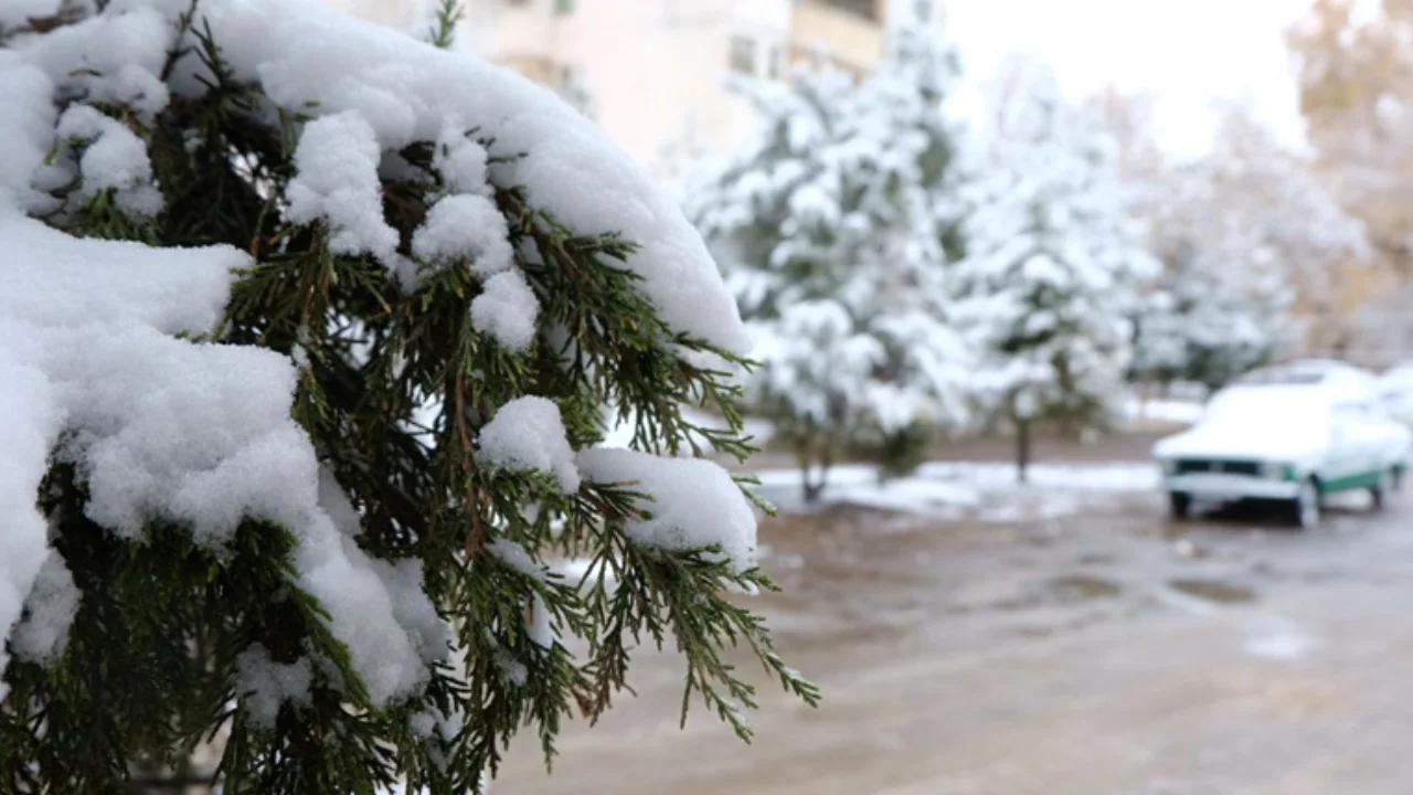 What will the weather be like in the first week of winter?