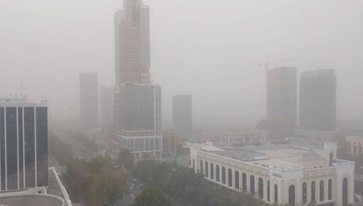 Toshkent ekologiyasi uchun Prezidentdan keskin yangi choralar