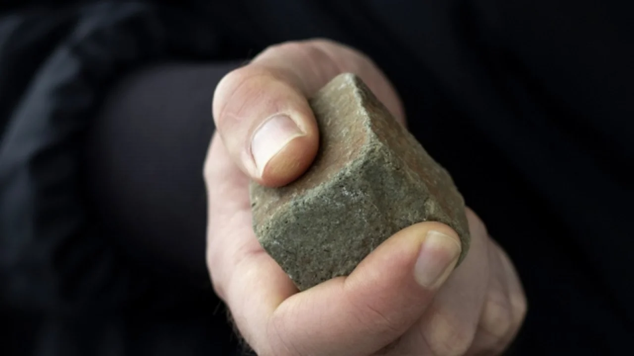 Farg‘onada bog‘ga qo‘y kirishi mojaroga aylanib, inson hayotiga zomin bo‘ldi