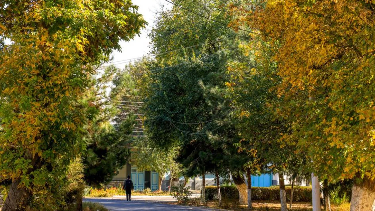 What weather is expected at the beginning of the week?