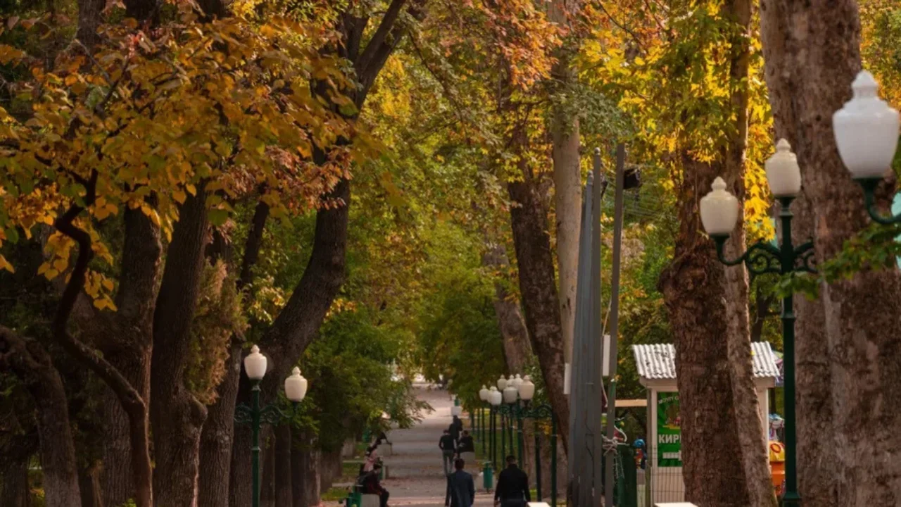 Эртага мамлакат бўйлаб ҳаво қандай бўлади?