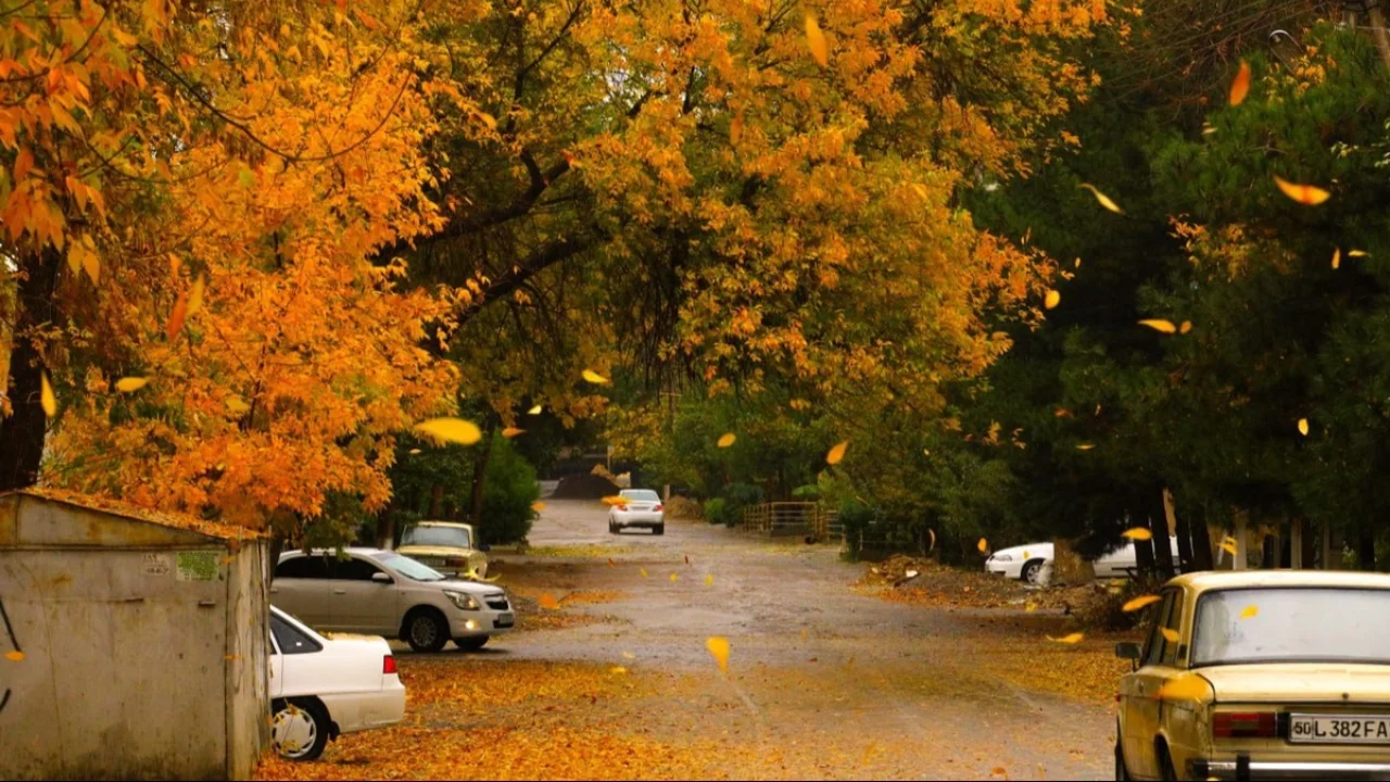 What weather is expected at the beginning of the week?