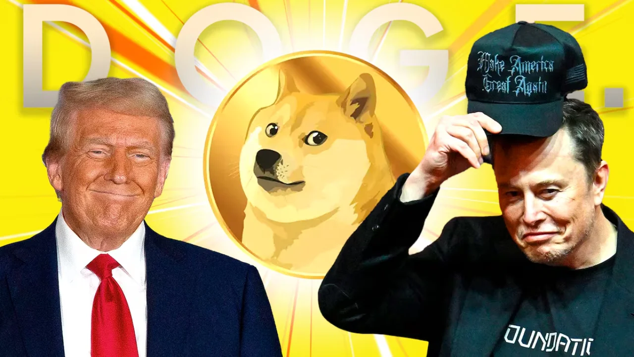 Why was the DOGE advertised by Trump and Musk canceled?
