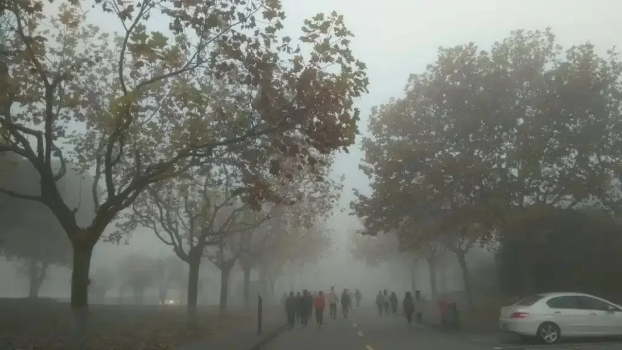 Toshkent havosi dunyo bo‘yicha eng iflos shaharlar qatoridan 2-o‘ringa chiqdi