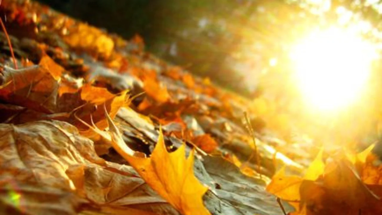 Завтра день будет теплее: в некоторых регионах температура воздуха достигнет 22 градусов.