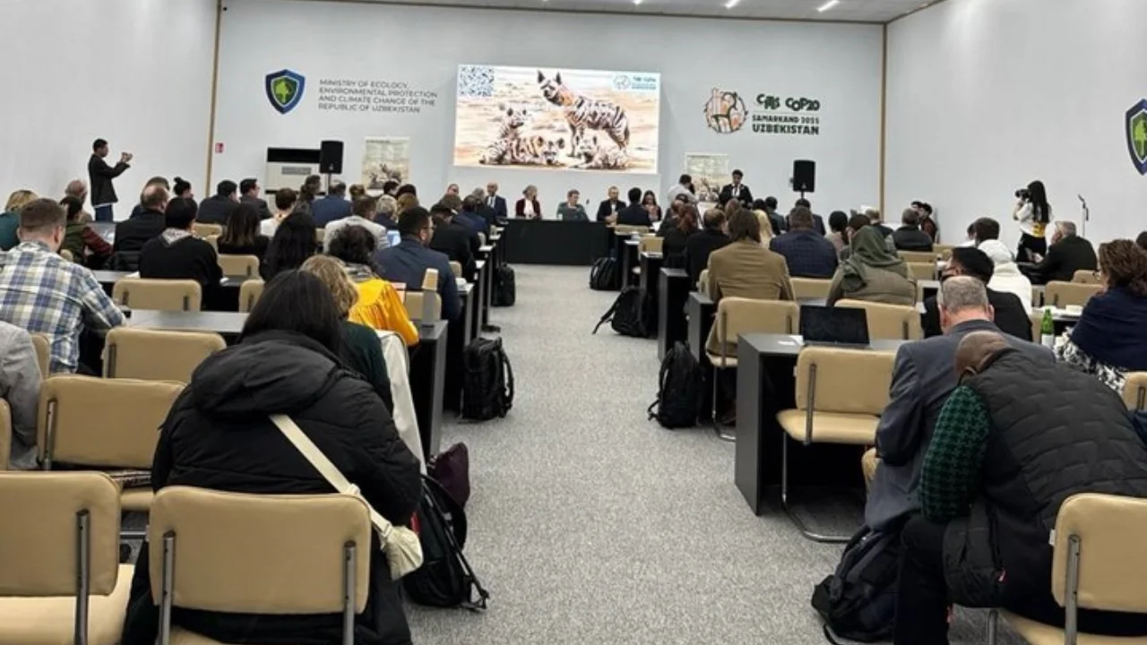 Ўзбекистоннинг энг ноёб ҳайвони йўқолиб кетмоқда