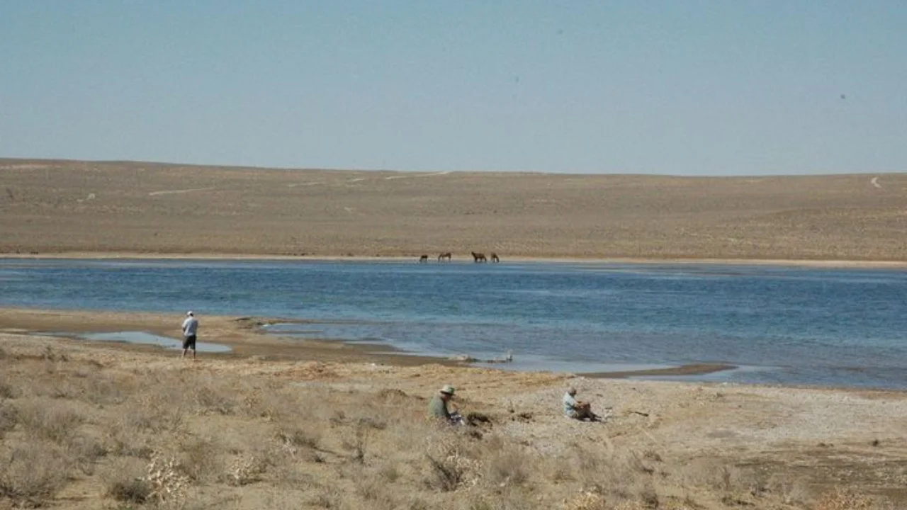 Сибир суви Оролга йўналтириладими? Россияда тарихий лойиҳа муҳокамада