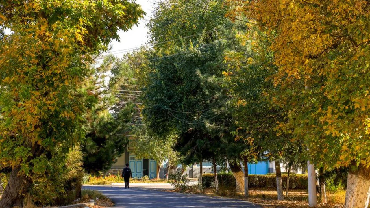 What will the weather be like on November 9th?v