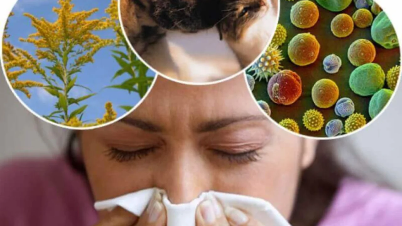 Allergiyaning yashirin sabablari