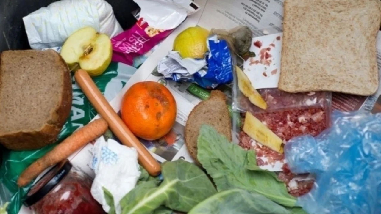 Insoniyat har yili 1 milliard yegulikni isrof qilib tashlab yubormoqda