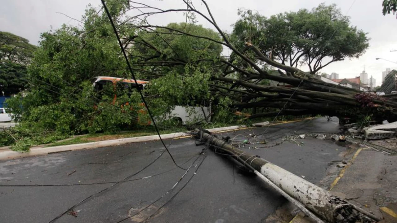 Braziliyada kuchli tornado shaharlarni vayron qildi, o‘nlab odam jarohat oldi