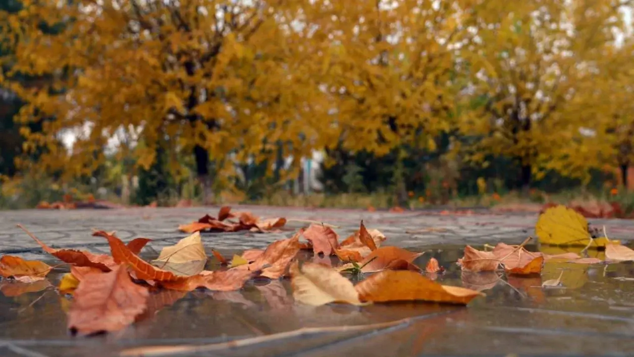 «Узгидромет» 7 қараша, сәрсенбі күніне арналған ауа райы болжамын жариялады.