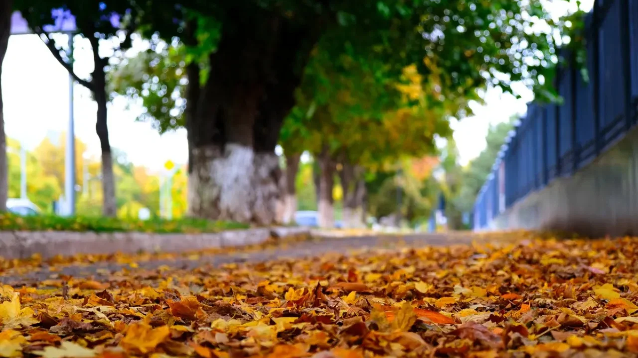 Эртага мамлакат бўйлаб қайси ҳудудларда совуқ сезилади?