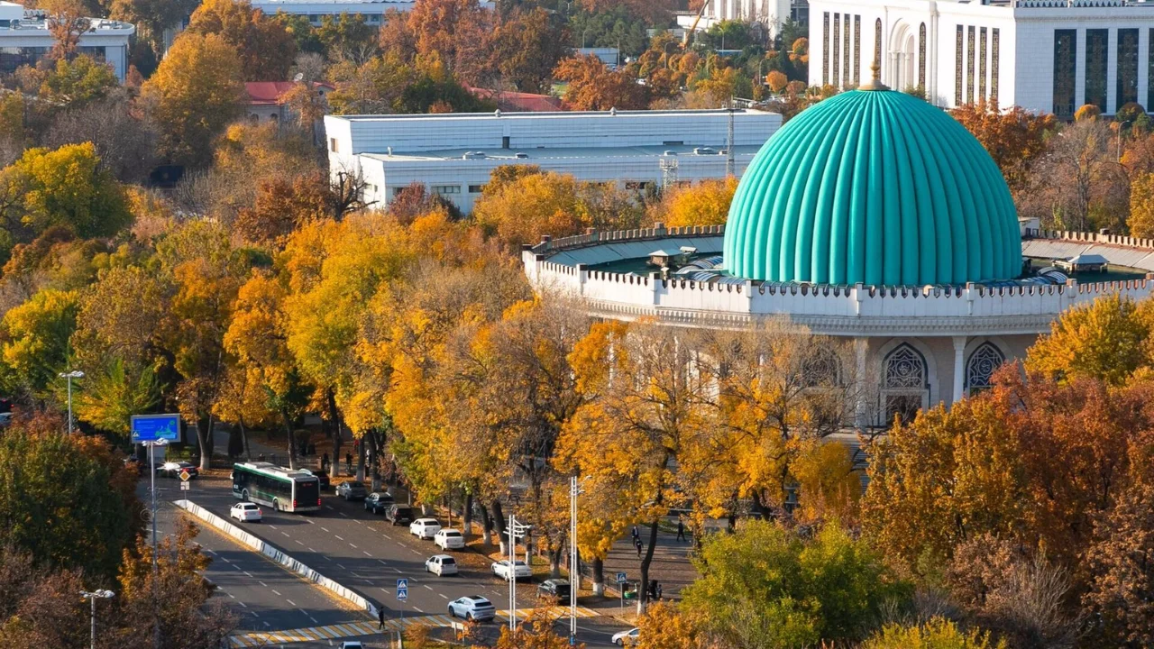 Эртага ёмғирсиз ва илиқ кун бўлиши кутиляпти