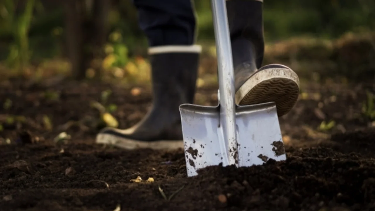 На земле возле Ферганского завода был найден 6-месячный плод