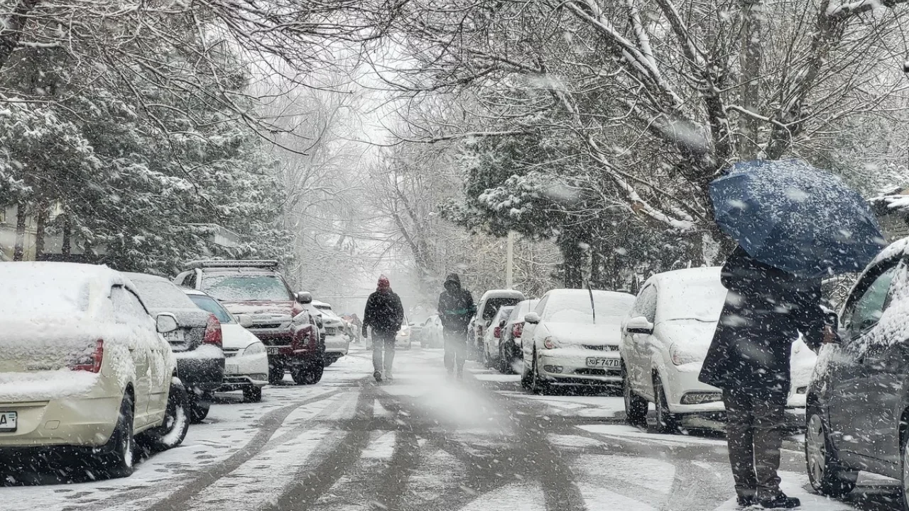 There will be both warm days and severe frosts in the coming winter