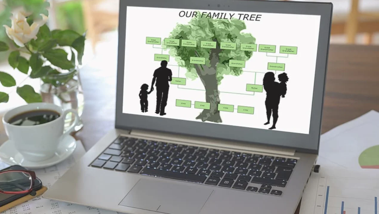 Search until the 9th century: When will the "Shajara" system be launched in Uzbekistan?