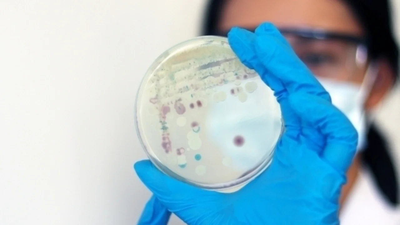 Ерда 407 миллион йиллик қадимий замбуруғ топилди