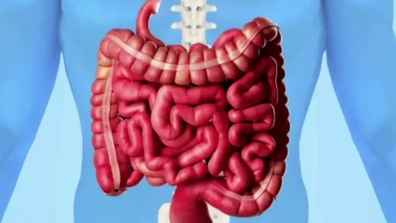 Ichak salomatligini yaxshilashning besh oson usuli