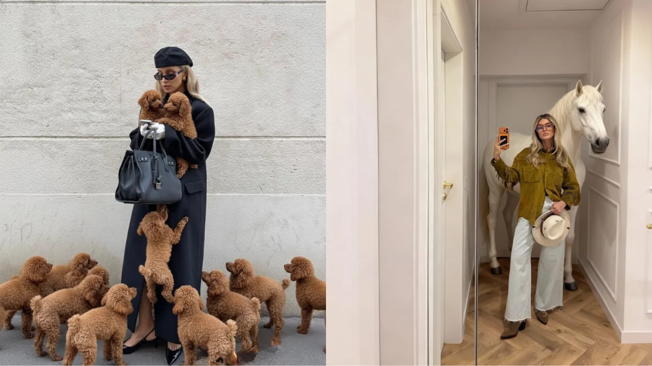 Social media has exploded the trend of cute animals in photos