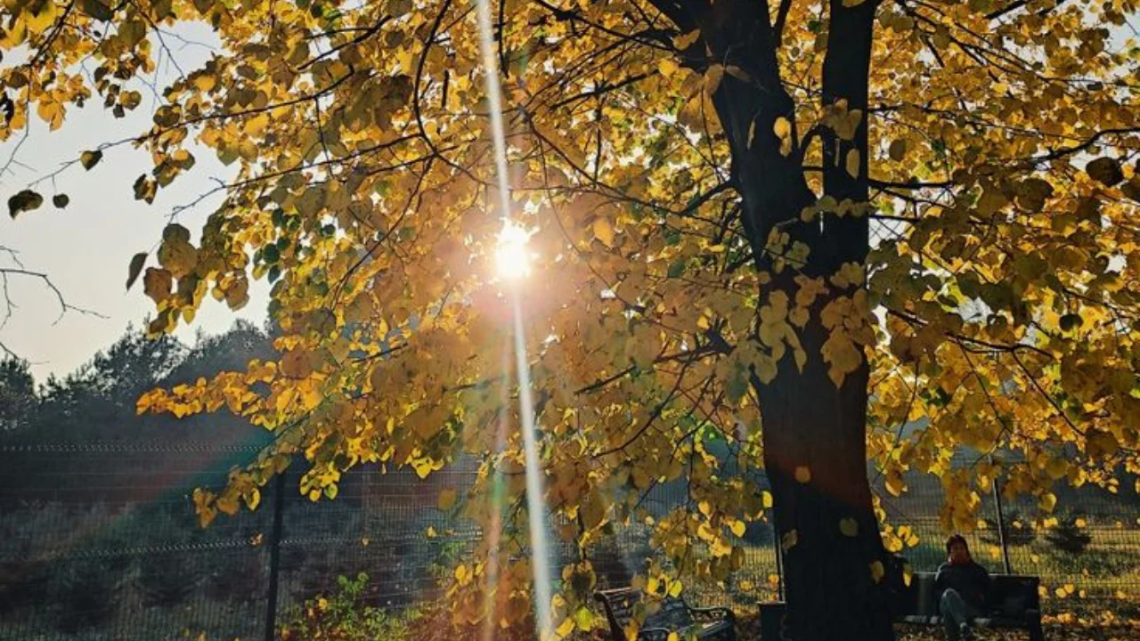 11 Kasım'da sıcaklıklar 20 dereceye çıkacak