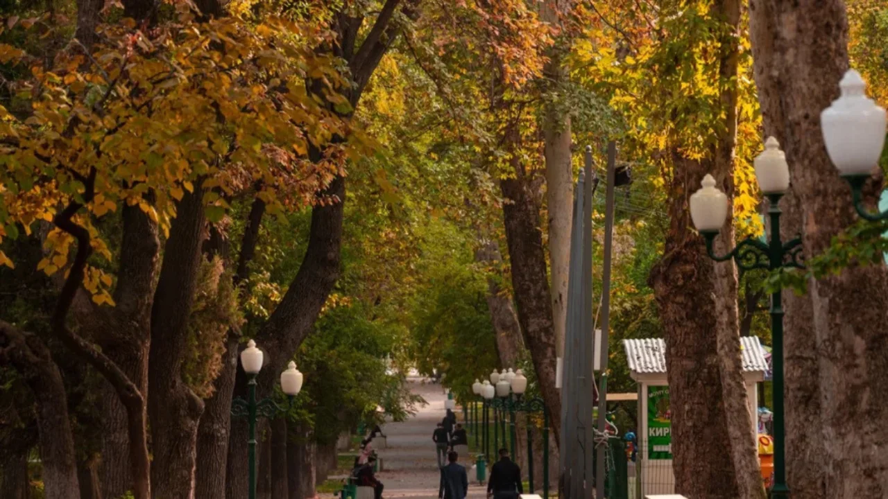 Эртага қандай об-ҳаво бўлади?