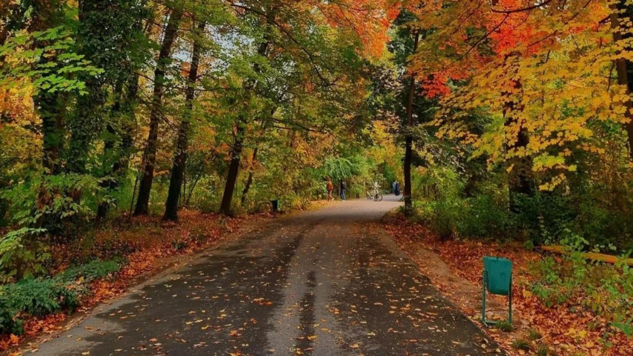 What will the weather be like at the beginning of the week?