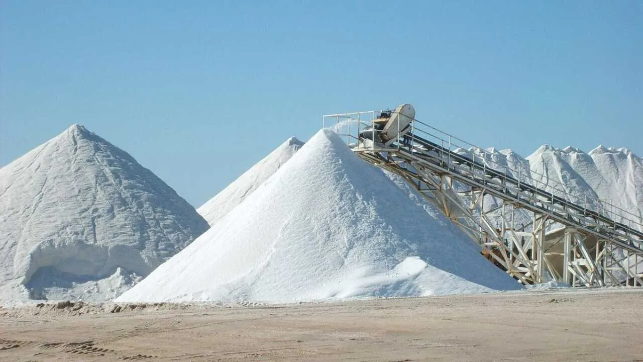 A salt processing zone will be established in Karakalpakstan