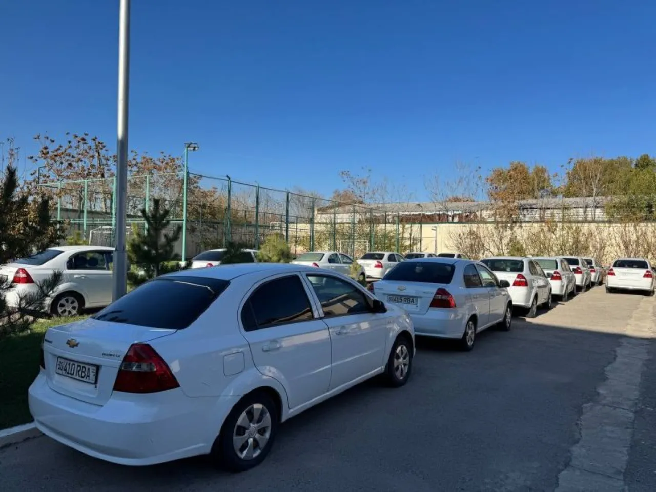 Semerkant'ta 15 adet Nexia 3 çevrimiçi açık artırmaya çıkarıldı