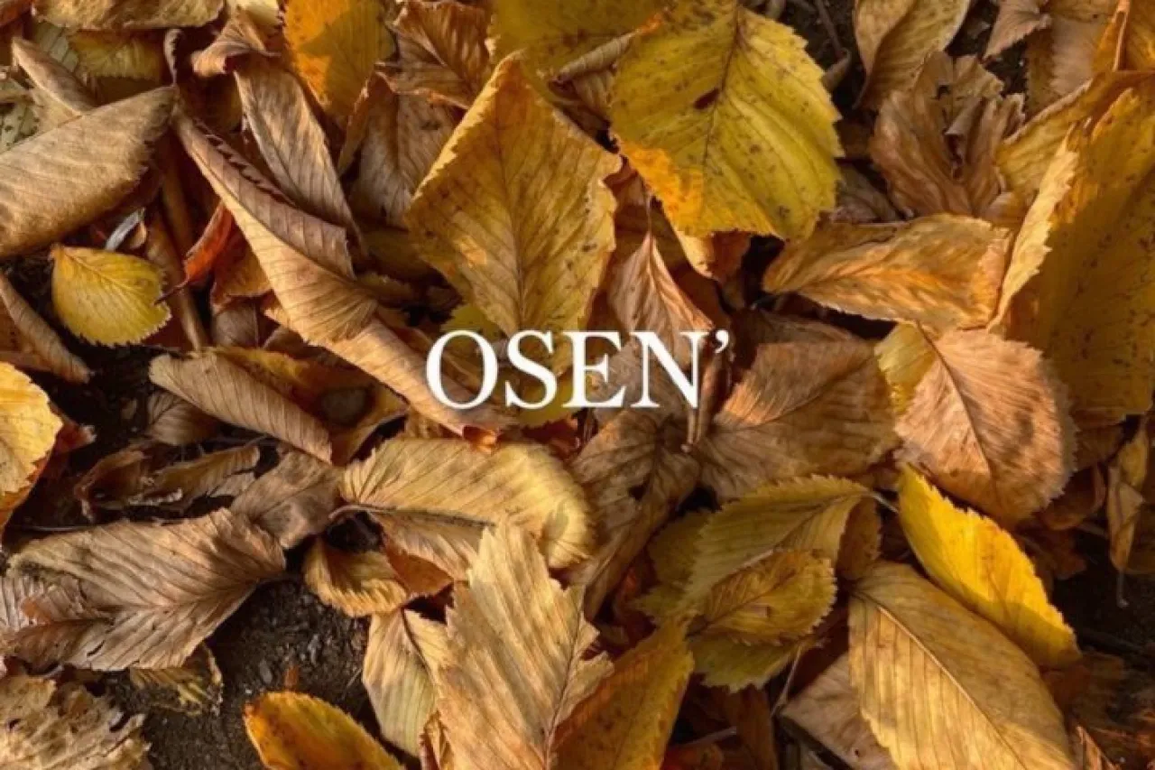 Ўзбекистонда ҳаво +22 даражагача исийди