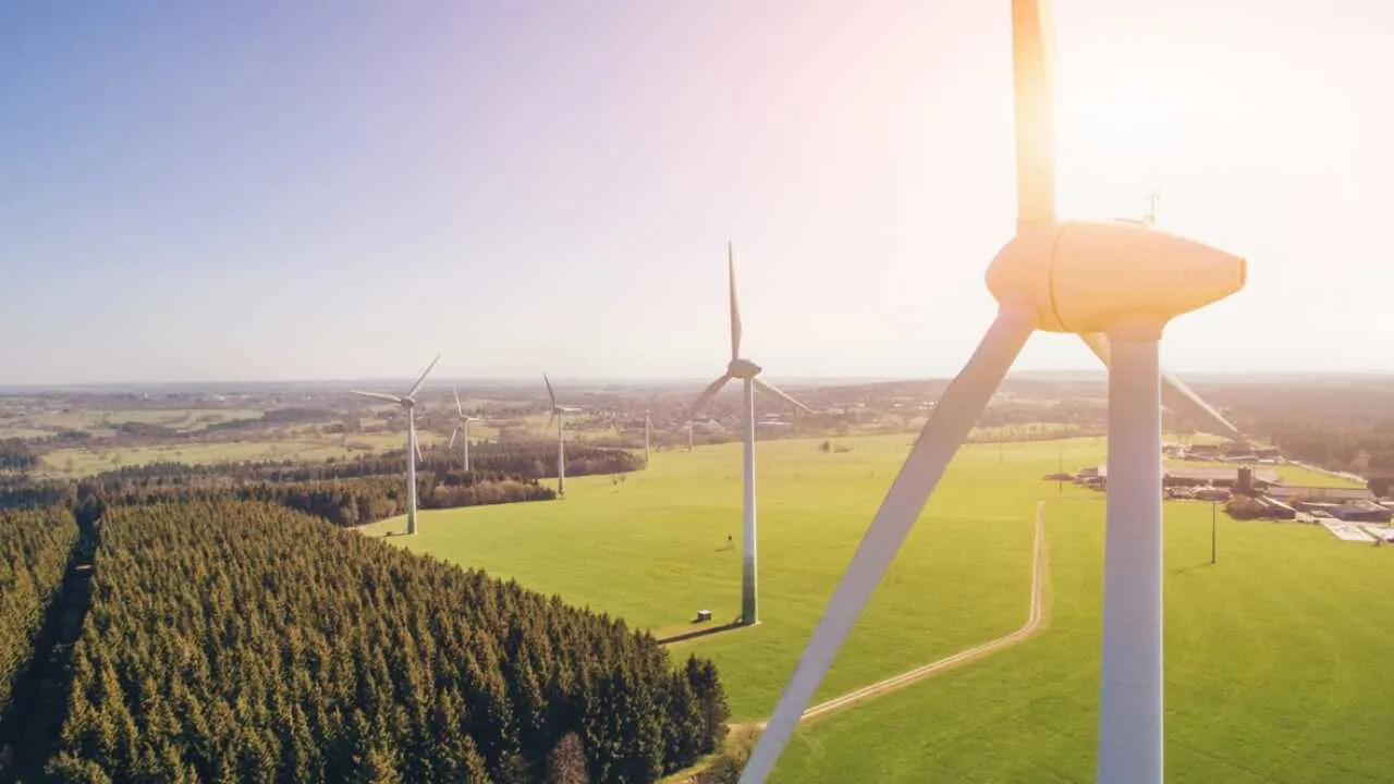 Депутаты направили запрос по вопросам зеленой экономики