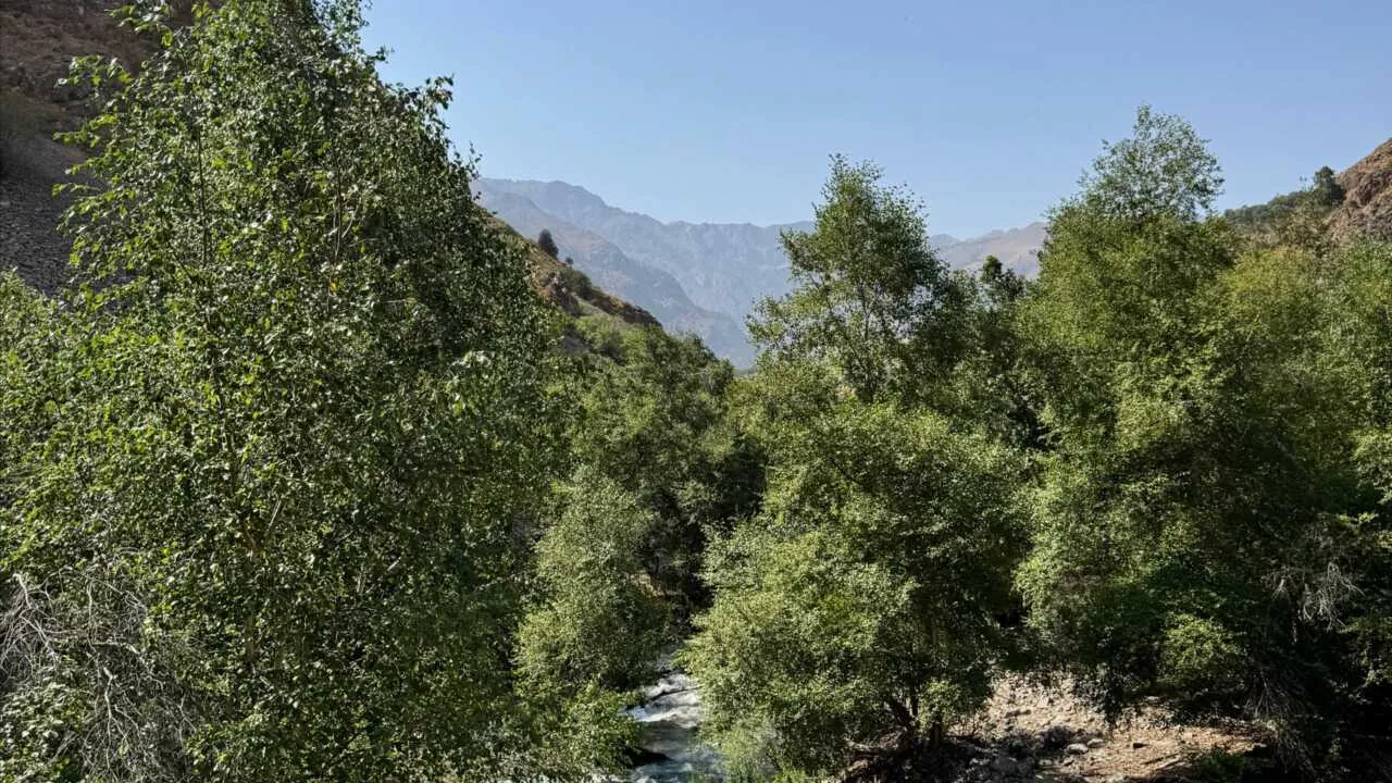 On November 14, the temperature is expected to rise to +22°C