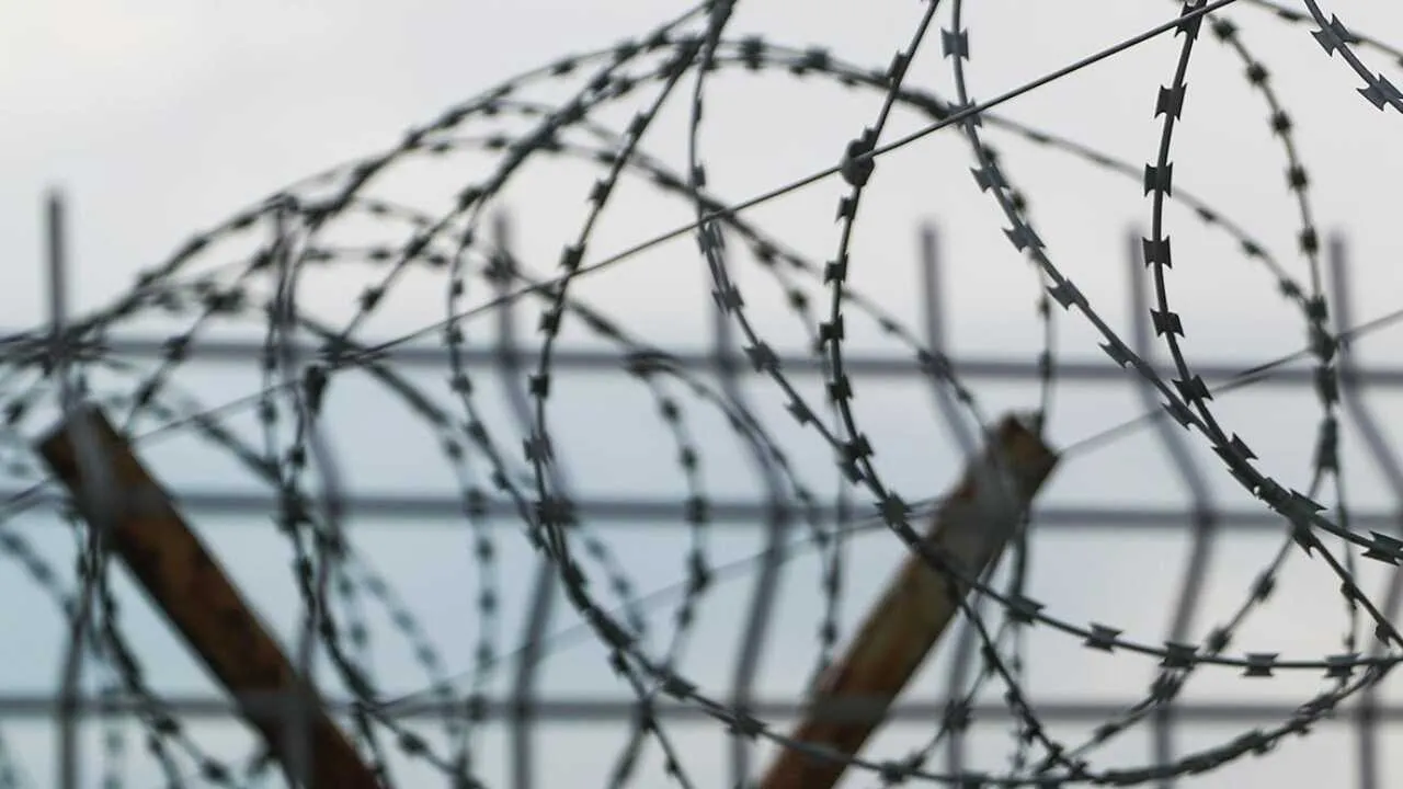 Ўзбекистон фуқароси Россияда 4 йил муддатга қамалди