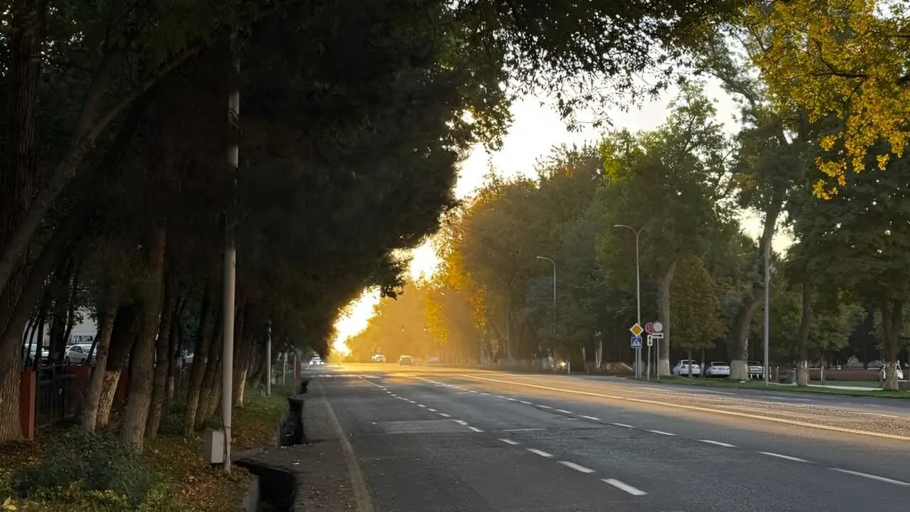 Тошкентда +17 даража илиқ бўлади