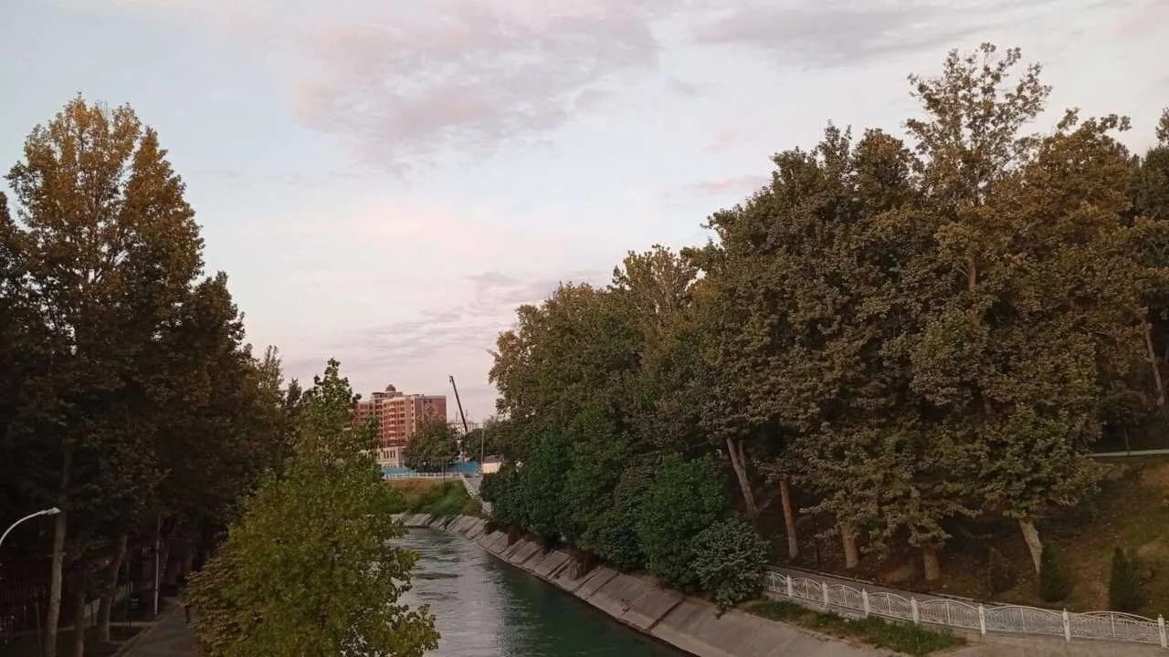 Өзбекстанда ормандардың алғашқы экологиялық классификациясы таныстырылды