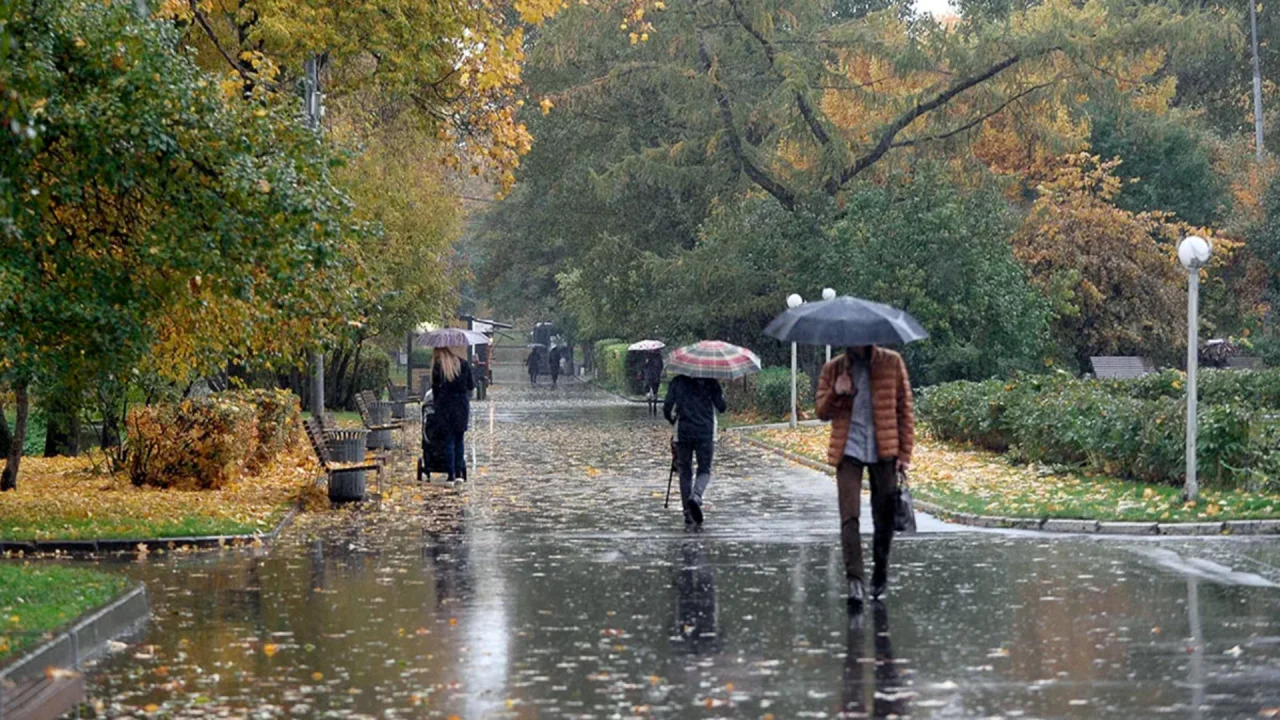 Какая погода ожидается по всей стране в начале недели?