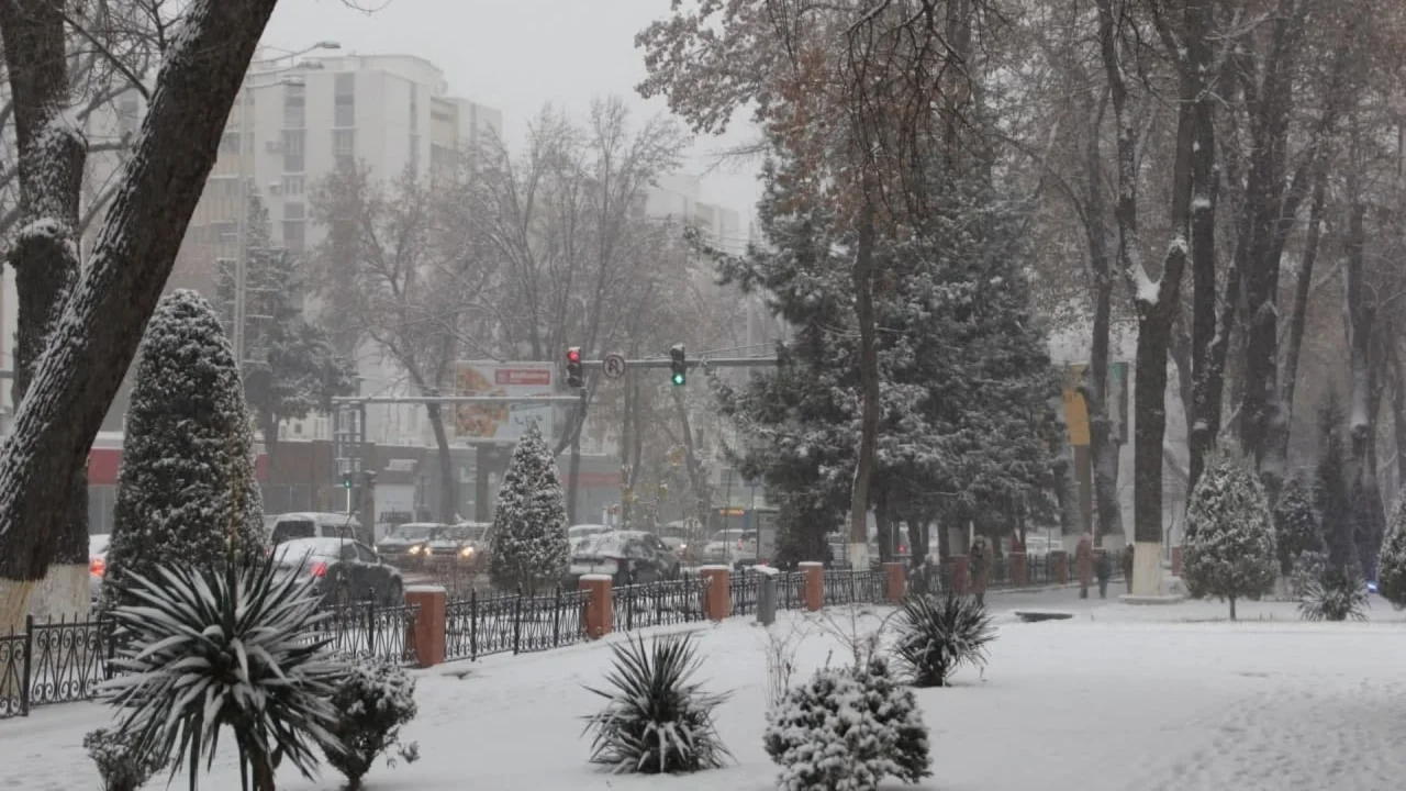 Ўзбекистонга нам ва совуқ ҳаво массалари кириб келмоқда