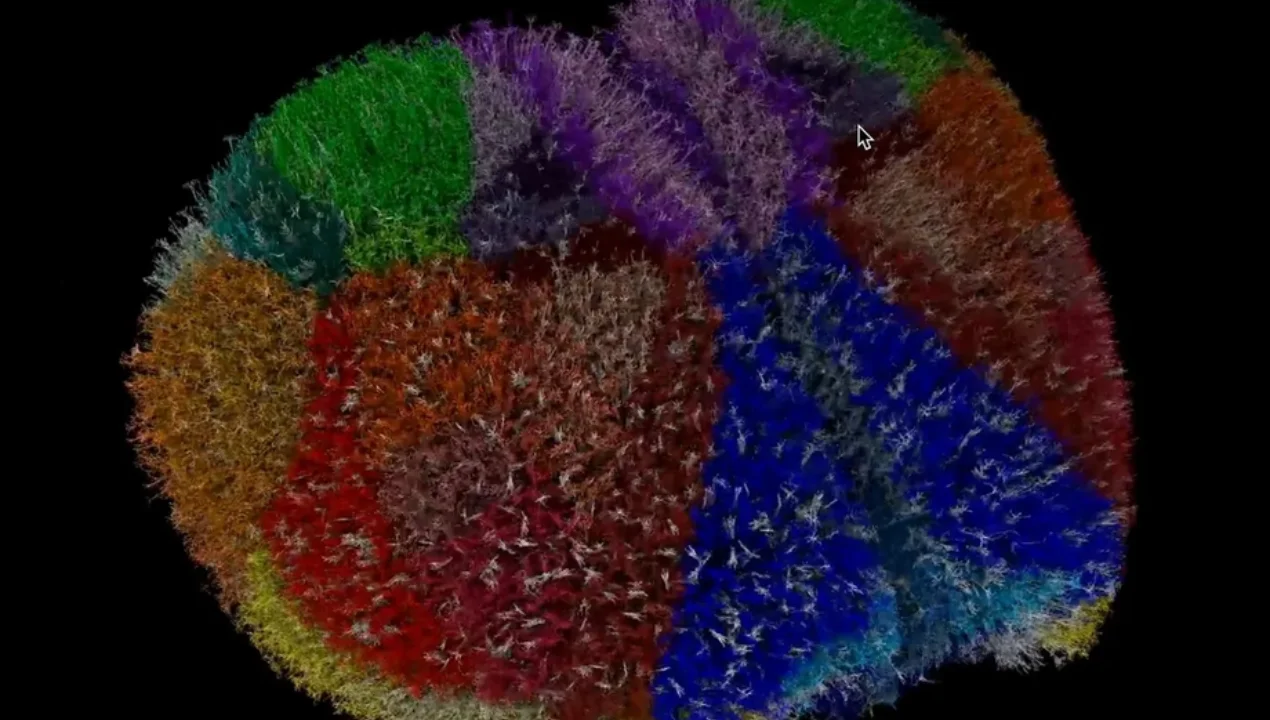 Olimlar sichqon miyasini virtual yaratdi, yangi davr boshlandi