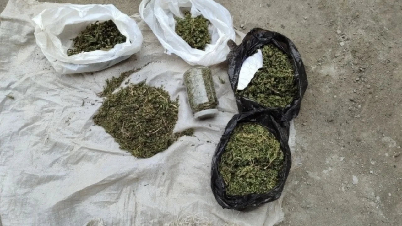 Fergana'da dev uyuşturucu yükü ele geçirildi: 7 milyar liralık zarar