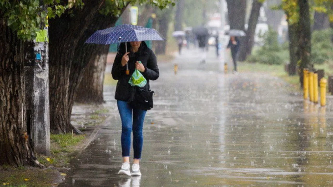 В Ташкенте 12 декабря ожидаются дожди