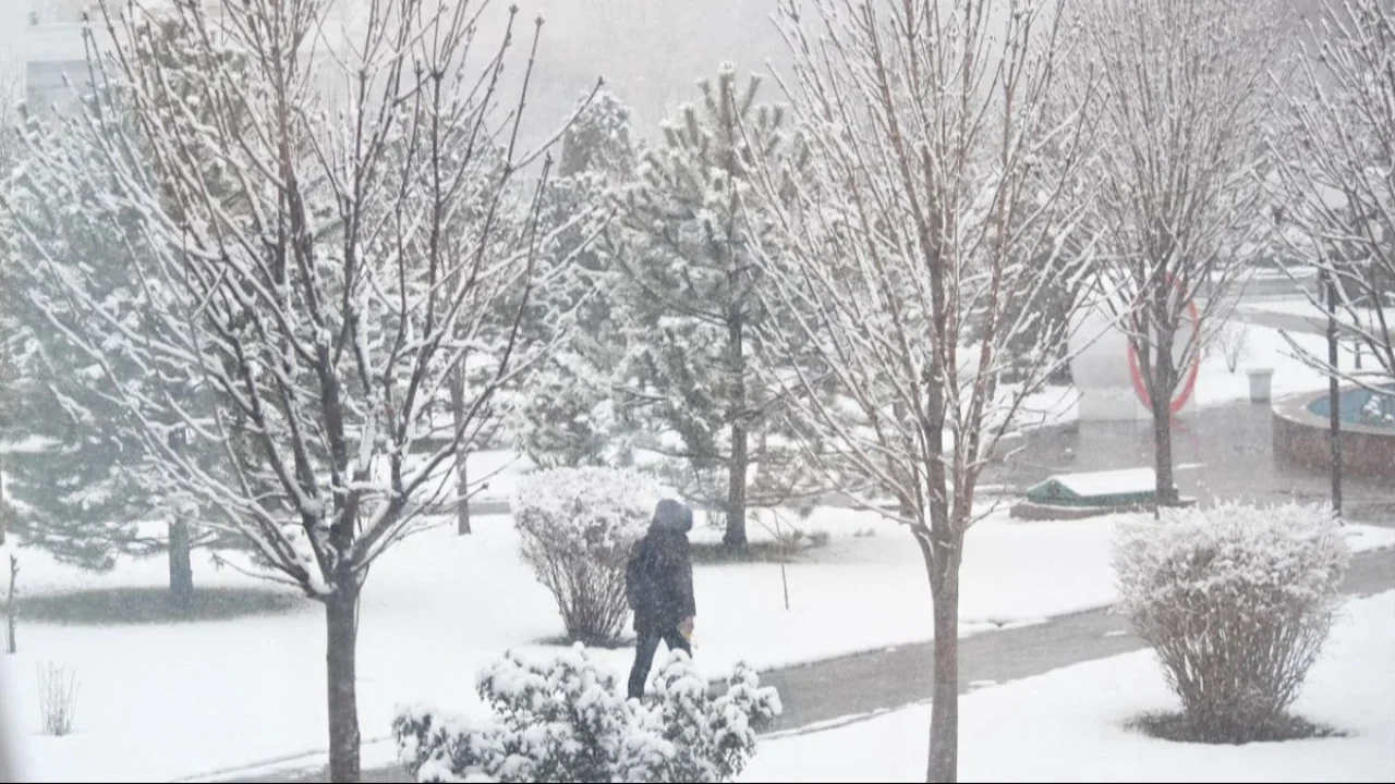 Ўзгидромет шошилинч огоҳлантириш билан чиқди