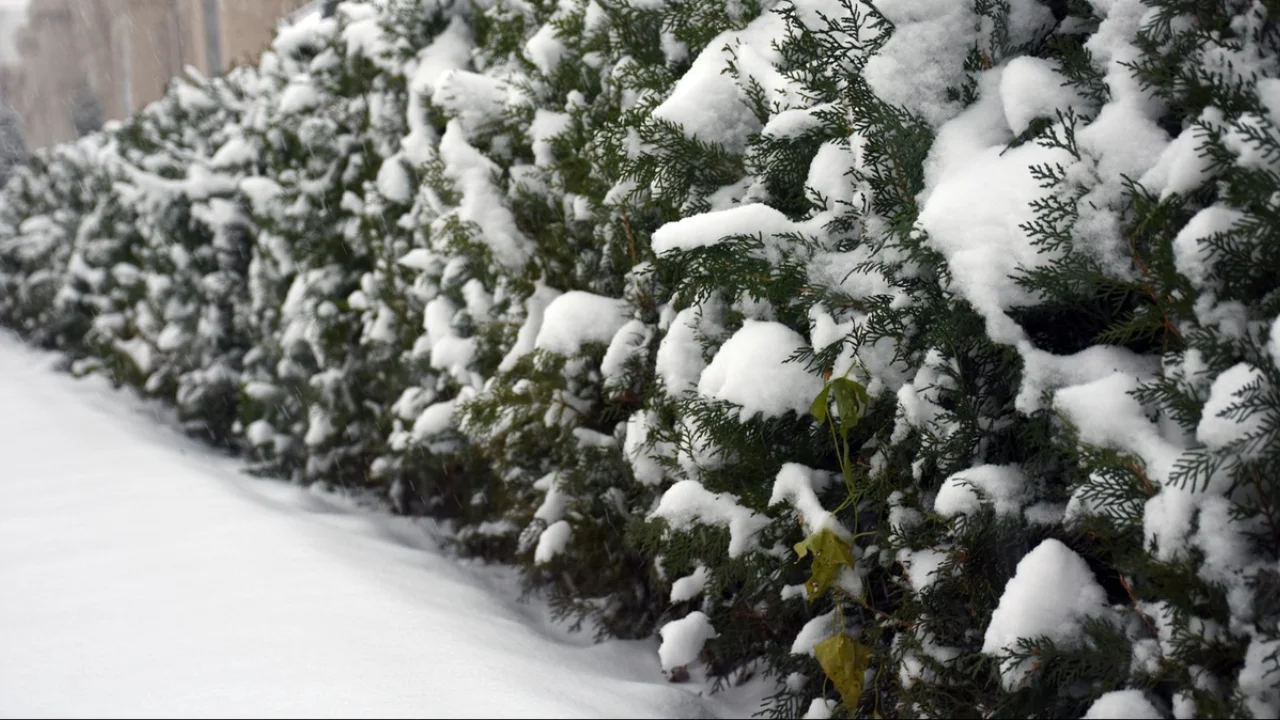 Какая погода будет завтра?