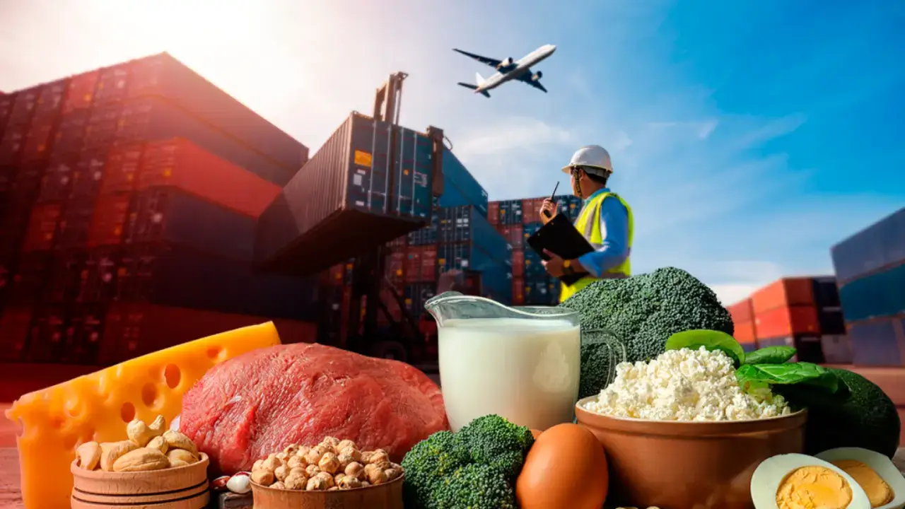 To which countries did Uzbekistan export the most products in 2025?