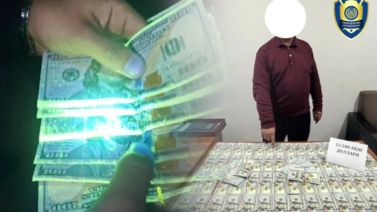 O‘zboshimchalik bilan egallangan yer: Andijonda navbatdagi firibgarlik fosh etildi