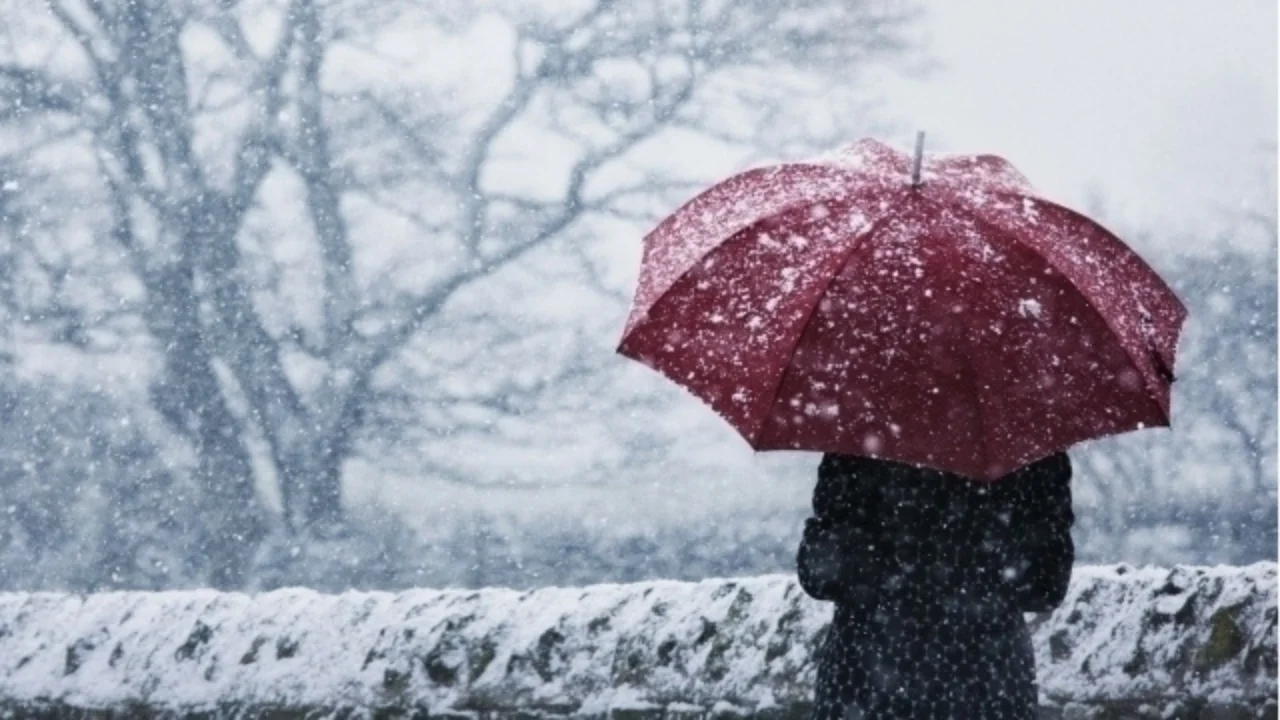 16 декабрда айрим ҳудудларда ёмғир ва қор аралаш об-ҳаво кутилмоқда