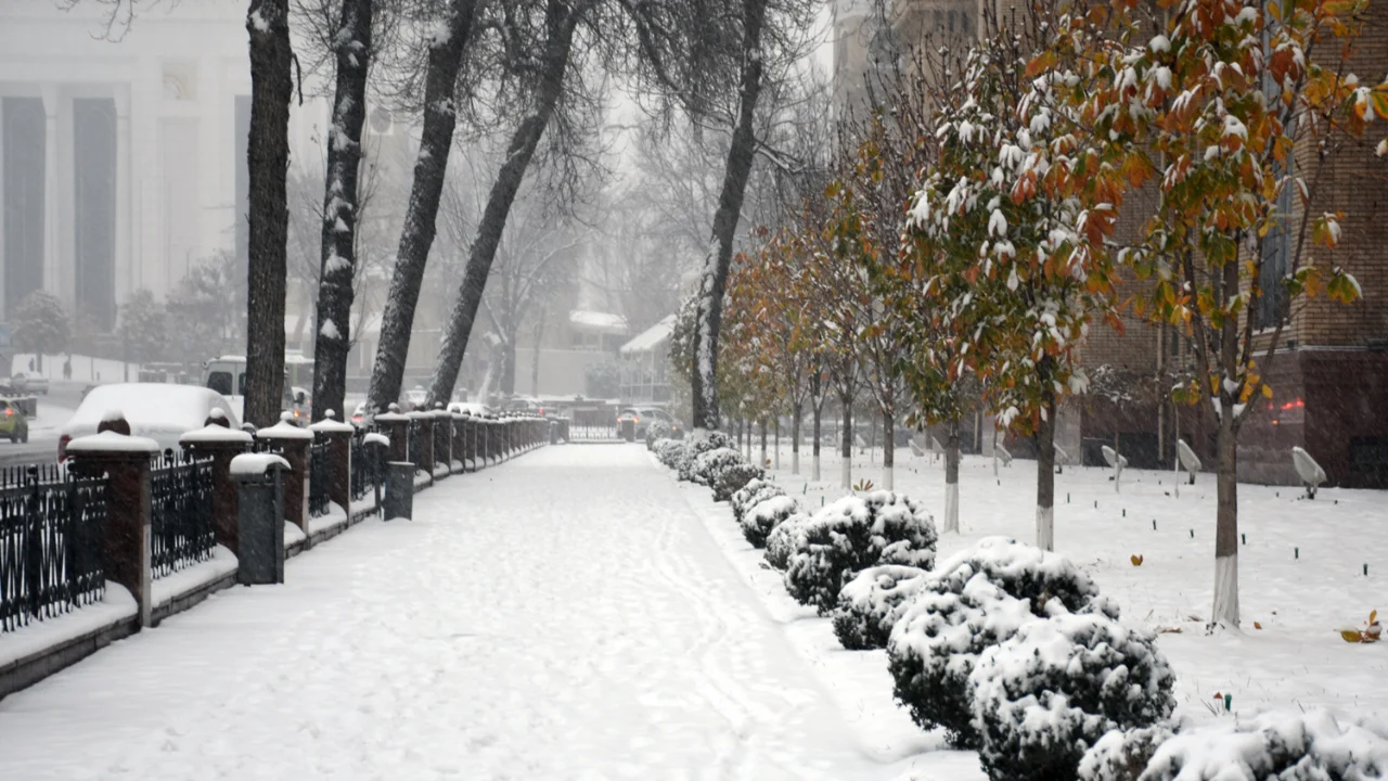 Hafta başında kar bekleniyor