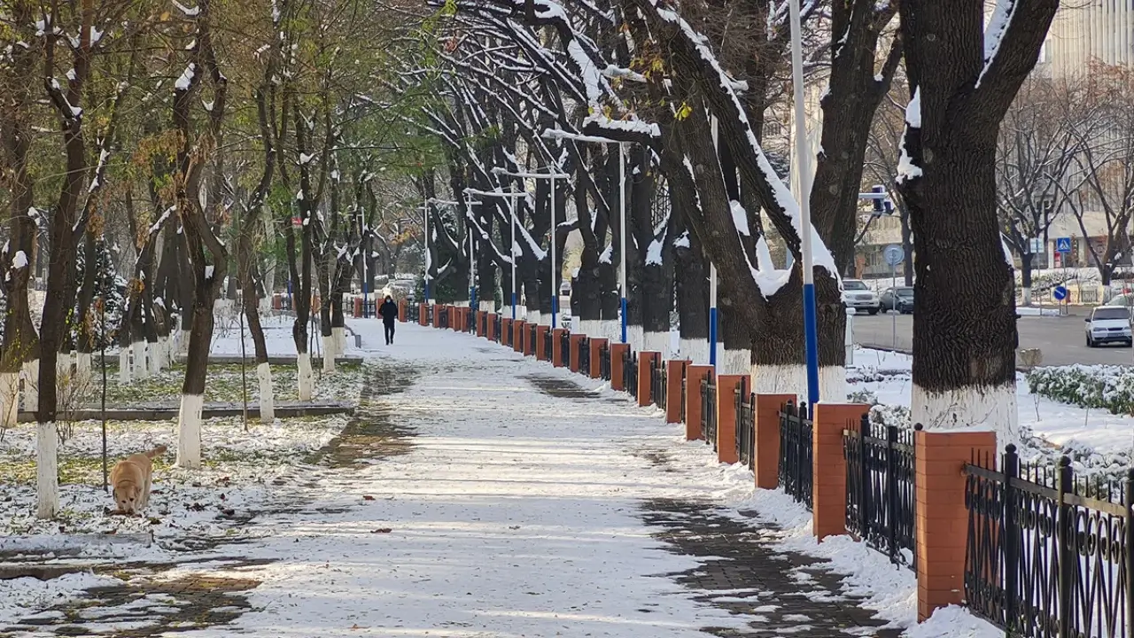 On December 26, the cold in Uzbekistan will intensify again