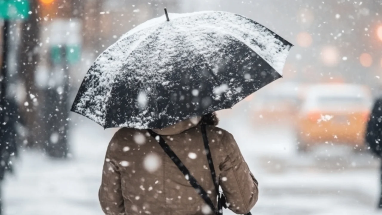 Эртага қайси ҳудудларда қор ёғиши кутилмоқда?